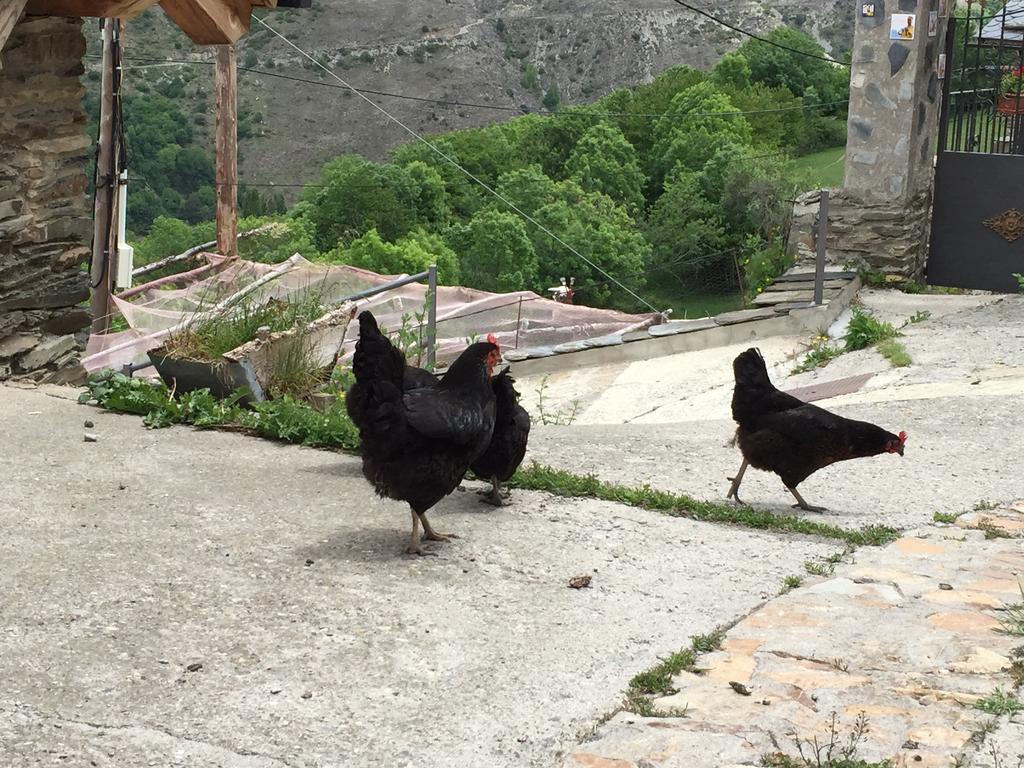 Lo Paller De Roc Montescladó Zewnętrze zdjęcie